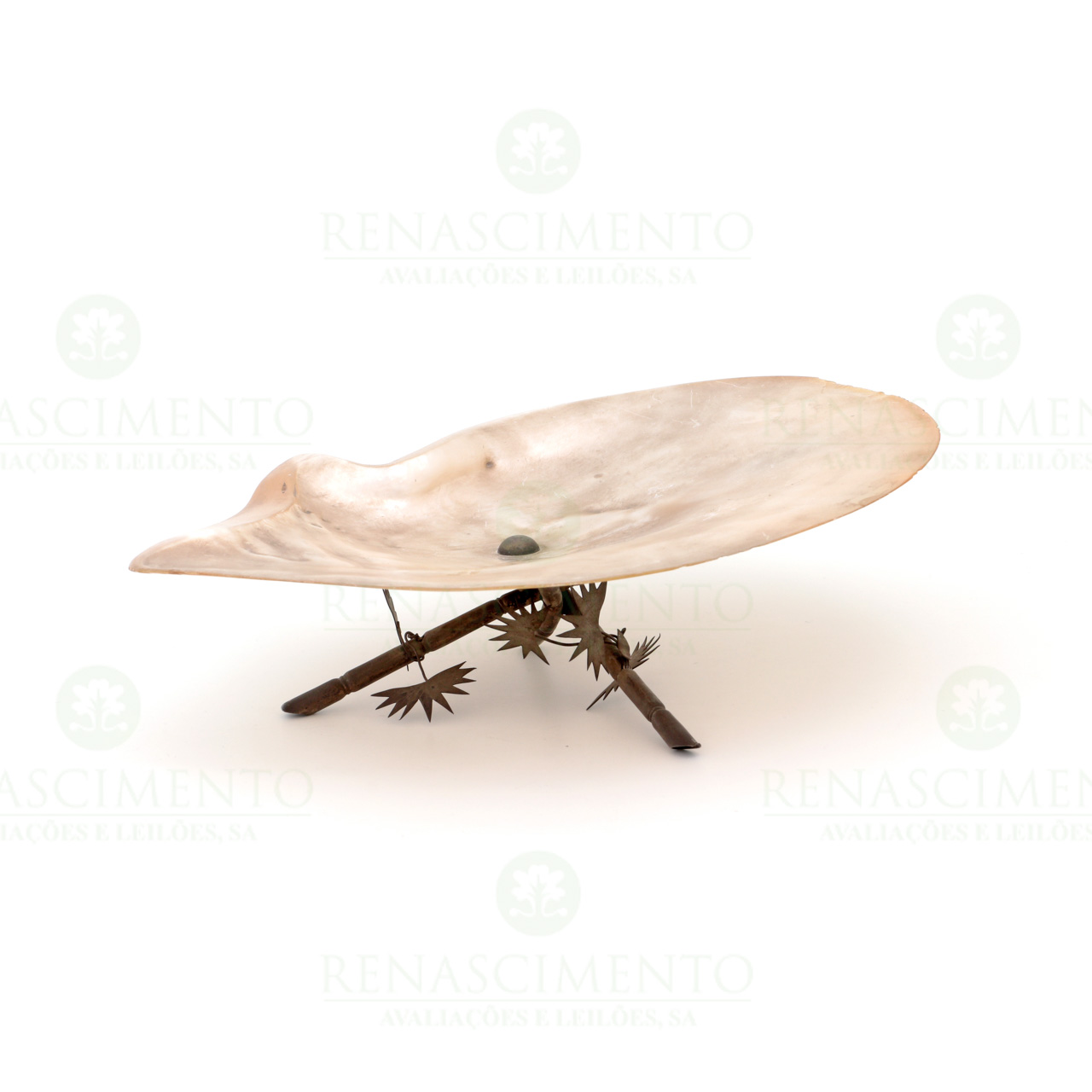 1034.0207.jpg
