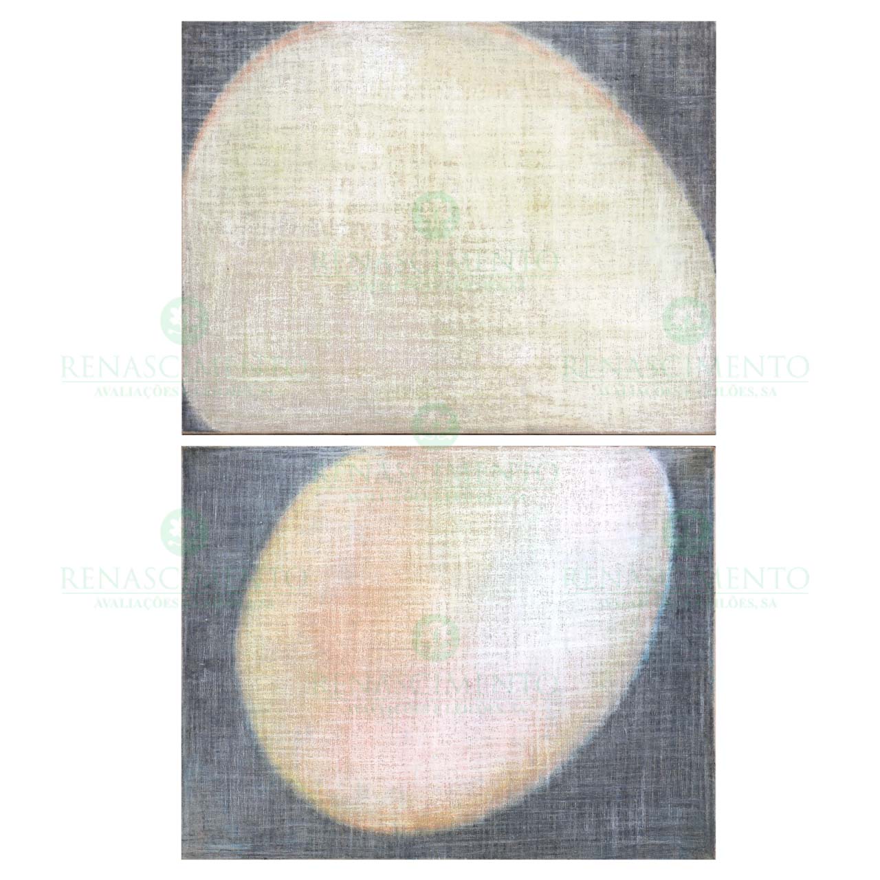 1055.0061.jpg