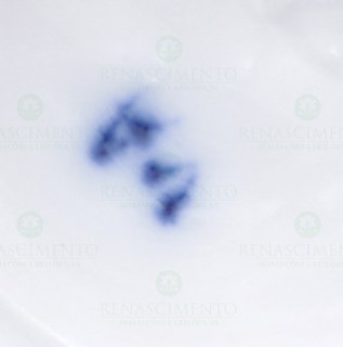 1050.0034_1.jpg